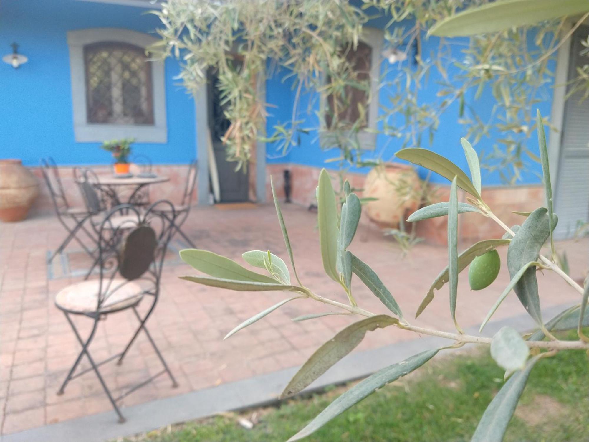 Villa Hephaestus Etna - With Private Pool Ragalna Ngoại thất bức ảnh